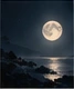 Moonlit lake report cover